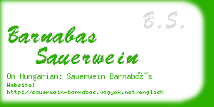 barnabas sauerwein business card